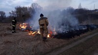 Парламент в несколько раз повысил штрафы за сжигание сухой травы