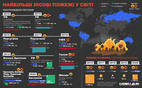 Крупнейшие лесные пожары в Чернобыле и в мире за последние 20 лет