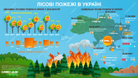 Самые масштабные лесные пожары в Украине