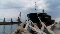 «Зерновой коридор» снова не работает из-за действий рф: инспекцию ожидают 90 судов