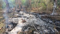 Власти Румынии подтвердили обнаружение обломков российского беспилотника