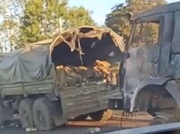 В сети появилось видео военной колонны россиян, уничтоженной в Курской области