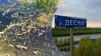 Загрязнение Десны уже коснулось Киевской области – Госводагентство