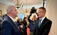 Встреча Сибиги и Сийярто длилась вдвое дольше запланированного: о чем говорили