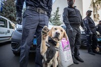 По всей Украине прокатилась волна минирований: в каких городах и где ищут взрывчатку
