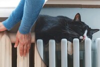 Отопительный сезон начался везде, кроме одной области – Шмыгаль