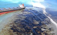 Российские танкеры, затонувшие в Черном море, могут создать экологическую катастрофу – Greenpeace