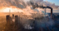 Названы семь стран мира, которые отвечают стандартам качества воздуха ВООЗ