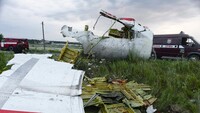 Трагедия MH17: Совет ICAO признал россию ответственной за сбивание самолета