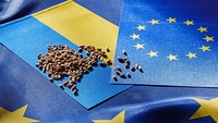 СМИ узнали, как правительство оценивает вероятные потери от отмены «торгового безвиза» с ЕС