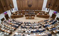 Парламент Словакии одобрил резолюцию, призывающую правительство не поддерживать санкции против рф