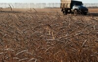Россия поставляет на Донбасс уже и сельхозтехнику