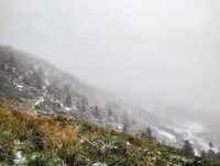 В Карпатах выпал снег в конце лета – фото