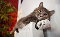 К отоплению подключили уже более 60% потребителей – Госэнергонадзор