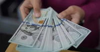 Курс доллара впервые превысил отметку 43 гривны