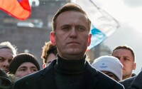 Страны Европы обвинили власть россии в отравлении Навального
