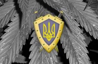 Аваков анонсировал создание Департамента противодействия наркопреступности