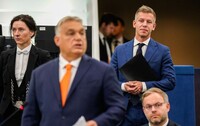 Выборы в Венгрии: оппозиционная «Тиса» может получить две трети мест в парламенте