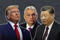 Украинская молодежь более лояльна к Трампу и Орбану, чем старшее поколение – соцопрос