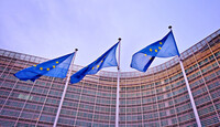 ЕС рассматривает санкции против израильтян, причастных к перевозке украденного украинского зерна
