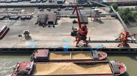 Украина фиксирует незаконный экспорт зерна еще в ряд стран, кроме Израиля – МИД