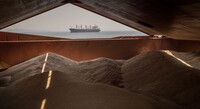 Украина официально просит Израиль арестовать российское судно с украденным зерном