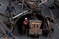 Россия продолжает вывозить уголь из Украины – ОБСЕ