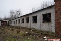 Обещанному приюту для животных в Житомире быть