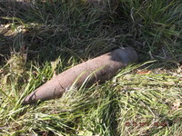 Взрыв боеприпасов в Сумской области: трое погибших, среди них представитель НАТО