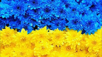 Минобразования хочет сделать украинский язык международным