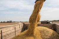 Украина потеряла треть мощностей для экспорта зерна из-за российских атак