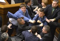 Возможно ли появление новой политической элиты без мелиорации политического болота в Украине?