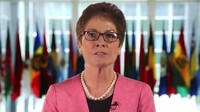 Посол США: Тиллерсон изучает варианты участия Америки в урегулировании ситуации на Донбассе
