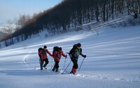 В горах Карпат погибли туристы